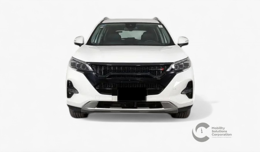 Auto 1